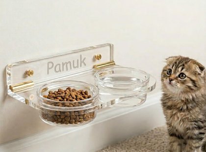 Cat Food Bowl