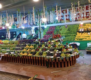 Sebze-Meyve Teşhir Standları